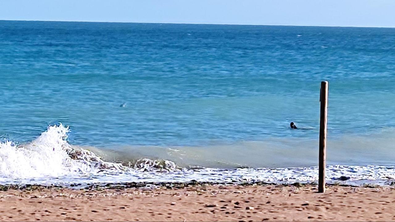 Apartament Chez Chon Et Jean-Marie Hermanville-sur-Mer Zewnętrze zdjęcie